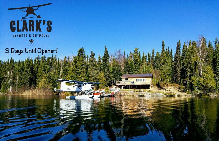 clarks northern lights